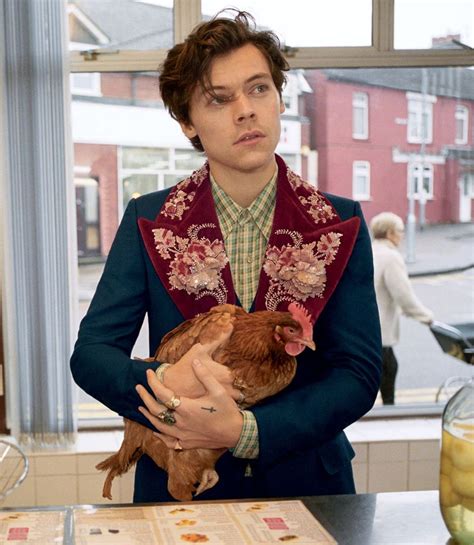 harry styles gucci campaign outtakes|Harry Styles Gucci website.